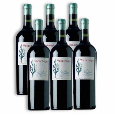 Imagem de Vinho Argentino Yacochuya Malbec (Michel Rolland) 750 mL CX/6