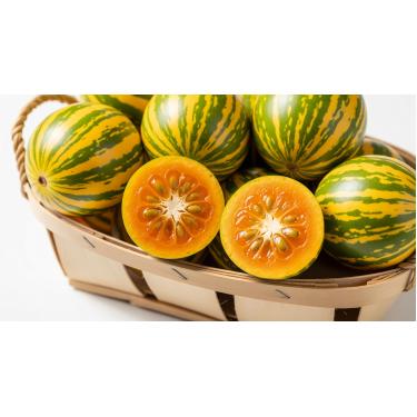 Imagem de Melão Tiger Exótico – 100 Sementes | Fruto Rajado, Doce e Premium