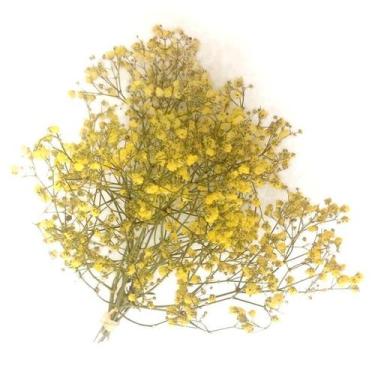 Imagem de Mini Buquê Gypsophila (Mosquitinho) Amarelo - Floricultura Frutaflor