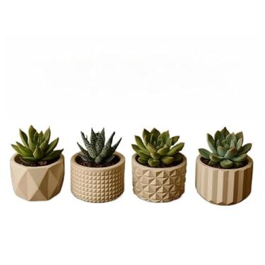 Imagem de Kit de 8 Vasinhos Decorativos de Gesso - Ideal para Cactos e Plantas Artificiais, para Mesa/Estante/Sala, Design Delicado(KIT 4 VASINHOS)