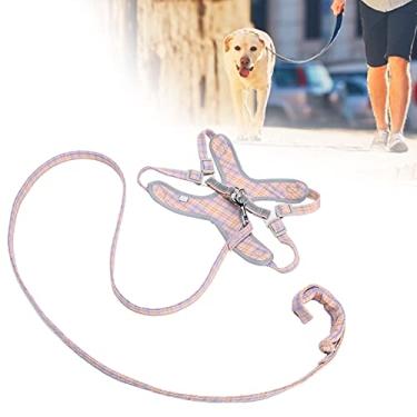 Imagem de Conjunto de arnês para animais de estimação, arnês para cães e coleira respirável para treinamento de caminhada(orange, S)