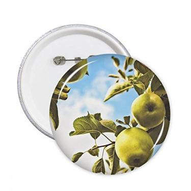 Imagem de Peer Fresh imagem de frutas temperadas pinos redondos emblema decoração de roupas 5 peças presente