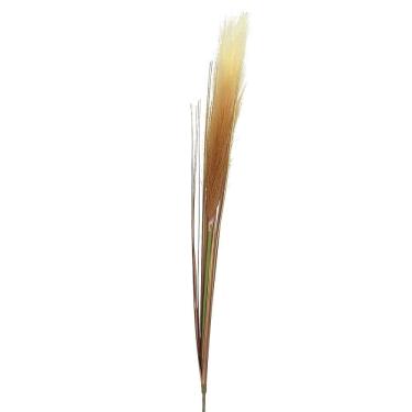 Imagem de Haste Rabo de Lebre com Capim Natural Decorativa
