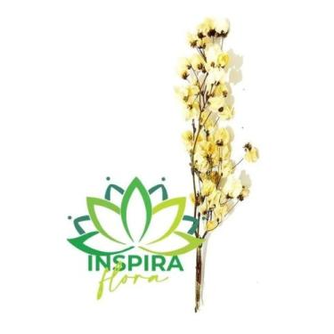 Imagem de Flores Seca Primavera Bougainvílle Desidratada Arranjo Noiva - Flora F