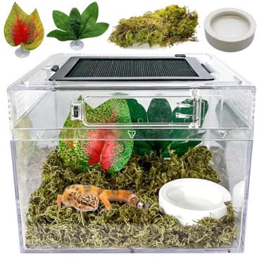 Imagem de Mini réptil PC terrário, 20 x 20 x 17,8 cm, kits iniciantes de tanque de répteis com visão completa visualmente atraente, gabinete de aranha saltadora, gaiola de tarântula, tanques de habitat de