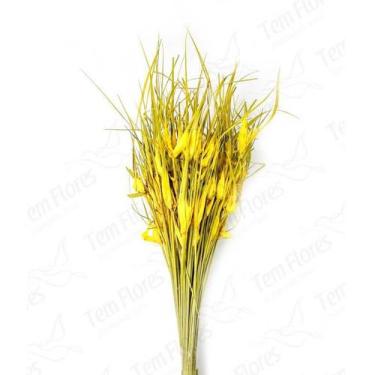 Imagem de Capim Estrela Flor Desidratada Buque Flores Secas - Pense Flores, Amar