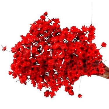 Imagem de Sempre Viva flores Desidratada - Pense Flores, Vermelho