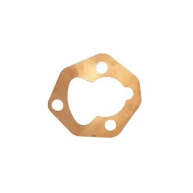 Imagem de Junta Da Bomba Injetora Motor Diesel 7.0cv Buffalo/branco, 13.00