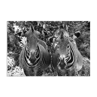 Imagem de SDYJ6GSW Imagens de animais em preto e branco para decoração de parede arte de animal preto e branco imagem de zebra impressão de imagem de cavalo em tela pintura de parede zebra decoração de parede