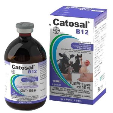 Imagem de Catosal B12 Suplemento Vitamínico Bayer Injetável 100ml