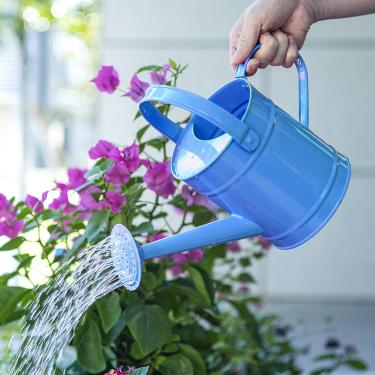 Imagem de Sungmor Regador de metal azul de 1,5 l – Balde de rega infantil para jardim ao ar livre – Equipamento de irrigação interno pequeno portátil com tratamento de revestimento em pó antiferrugem e linda cor