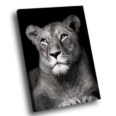 Imagem de Quadro Leoa No Preto -- Br Artes