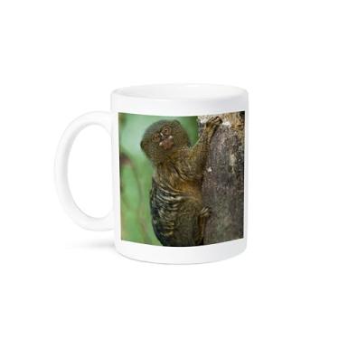 Imagem de 3dRose Caneca de cerâmica Pygmy Marmoset, Napo River, Yasuni, Amazon, Ecuador-SA07 POX2038-Pete Oxford, 425 g, branca