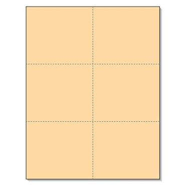 Imagem de NextDayLabels - Cartões vazios perfurados 6 por página, para cartões de registro escolar, cartões de entrega de flores, etiquetas de inventário, cartões de resposta de casamento, cartões de resposta