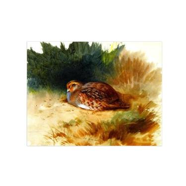 Imagem de Animais Pinturas Famosas Arte Parede-Fotos Lona para Sala de Estar-Uma jovem perdiz-Pôster e Imprimir Decoração 60x80cm24x31in Sem Moldura