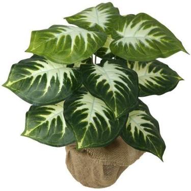 Imagem de Planta Artificial Folhagem Comigo Ninguém Pode 53cm 12 folhas - La Caz