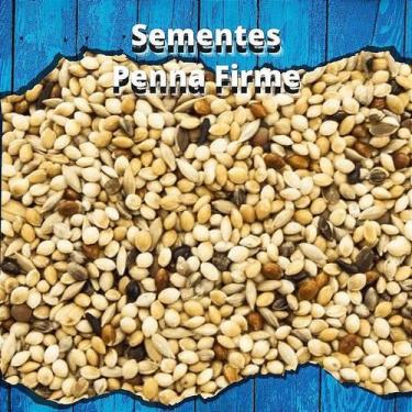 Imagem de Mistura de Sementes Curió 500g - MS