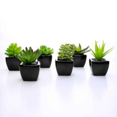Imagem de Suculenta Artificial Sortida Vaso Preto Kit Com 6 Unidades 6x6 cm F04 