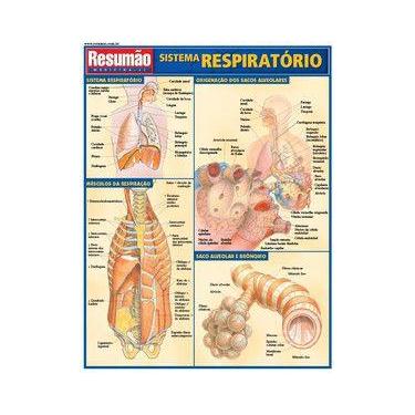 Imagem de Sistema respiratório - Resumão
