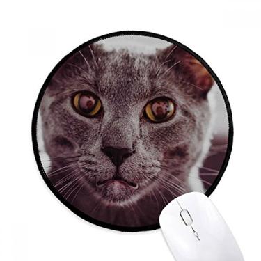 Imagem de Mouse pad de fotografia de gato cinza, olho grande, tapete redondo para computador