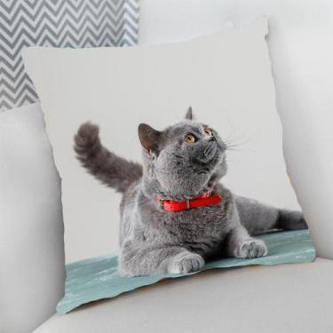Imagem de Almofada Decorativa Cheia c/ Zíper 40x40 Gatos Cat Felino - Deluzz, Br