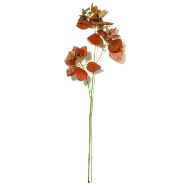Imagem de PLANTA PERMANENTE