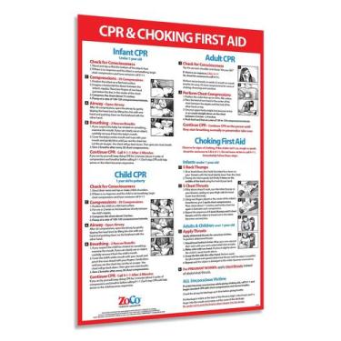 Imagem de Pôster de ímãs de segurança ZOCO CPR and Choking 30x45cm laminados - S