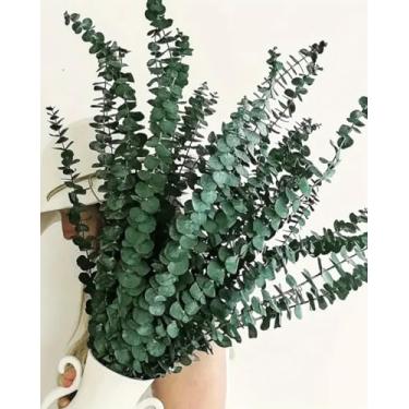 Imagem de 10 hastes de eucalipto preservadas, buquê de flores artificiais naturais de 30 cm para decoração de casa/arranjos florais/casamentos/chuveiros de spa, eucalipto artificial, verde