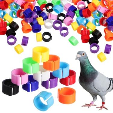 Imagem de 100 peças de faixas de perna de anel de pássaro - faixas de plástico para pés de pombo, anéis de perna com clipe para pintinhos, pombos, papagaios, galinhas (cor aleatória)