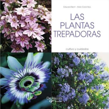 Imagem de las plantas trepadoras - Espanhol