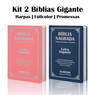 Imagem de Kit 2 Biblias Sagrada Letra Gigante Luxo Popular- Azul e Rosa - Com Ha