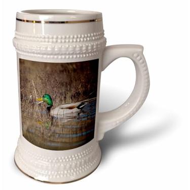 Imagem de 3dRose EUA, Oregon, Baskett Slough NWR, Drake Mallard, Anas Plathyrhynchos. - Caneca Stein, 530 g, 650 ml, branca