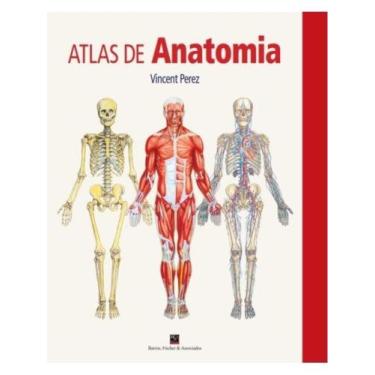 Imagem de Atlas de anatomia - BARROS, FISCHER & ASSOCIADOS