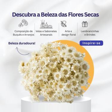 Imagem de Planta Seca Sempre Viva Branco 30cm - Pense Flores