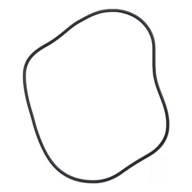 Imagem de Anel Vedação Oring Crivo Hiper Duchas Cardal Barato Ps452+