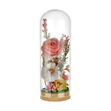 Imagem de BENECREAT Cloche de cúpula de vidro de 8 x 23 cm com base de cortiça, frascos decorativos de cúpula de vidro, frascos de sino para flor, planta, miniatura, decoração de casa