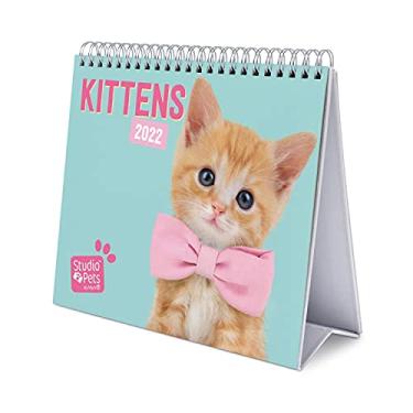 Imagem de Grupo Erik Calendário oficial de animais de estimação e gatos 2022 - Calendário de mesa de 2022 para gatos 2022-12 meses 2022 planejador, azul gatinhos, (CS22012)