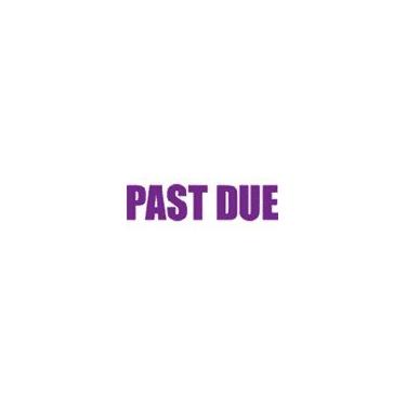 Imagem de Carimbo autotintado PAST DUE - Roxo