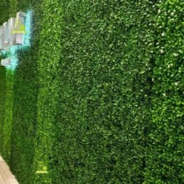 Imagem de Kit 2 Placas Grama Bucho Verde Muro Inglês 40 x 60 Decoração - Léo Flo