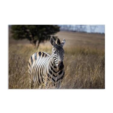 Imagem de SDYJ6GSW Imagens de animais em preto e branco para decoração de parede zebra savana africana imagem natural impressão de imagem de cavalo pintura de arte de parede zebra decoração de parede para sala