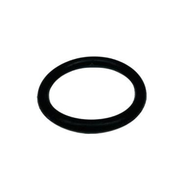 Imagem de Anel do Porta Rotor P/ Motobomba BFG 3 Polegadas - Buffalo