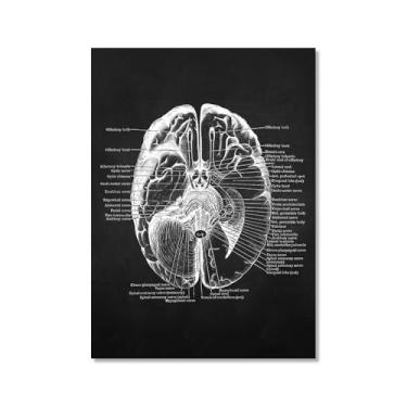 Imagem de Fundo preto anatomia humana arte médica impressões em tela imagens esqueleto músculo pôster vintage educação pintura arte decoração de parede (SKU8,20.3x30.5 cm = (20x30 cm), sem moldura)