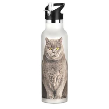 Imagem de Garrafas de água infantis isoladas de 590 ml com tampa de palha, garrafas de água esportivas de aço inoxidável com estampa de gato cinza com alça, copos infantis à prova de vazamento