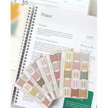 Imagem de The Study the Bible for 1 ano (tamanho da carta 21 x 29 cm) 2 peças: Um guia de estudo bíblico para mulheres, um lindo ano na Bíblia