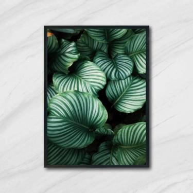 Imagem de Quadro Foto De Folhas 24X18Cm