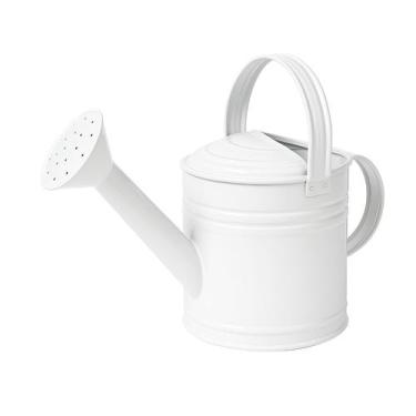Imagem de Mini Regador de Metal Galvanizado 3 Litros - Jardim, Horta e Decoração