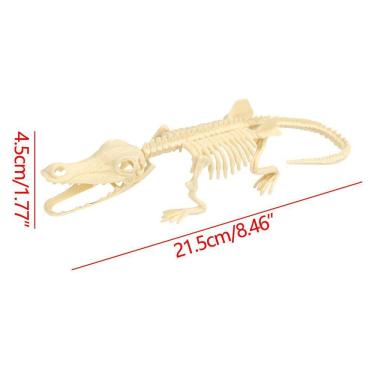 Imagem de Brinquedo de dinossauro montado diy infantil Arqueologia Esqueleto fóssil de dinossauro