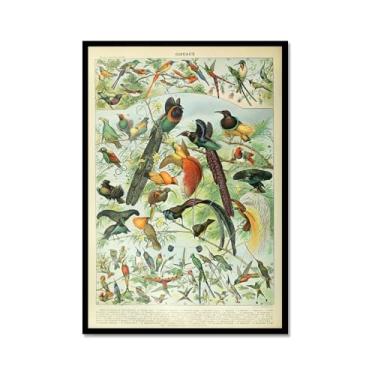 Imagem de Pôster vintage de pássaros franceses ornitologia impressão de pássaros presentes para pássaros educação arte de parede pintura em tela sala de estar decoração de casa (SKU3,20.3x30.5 cm = (20x30cm