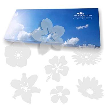 Imagem de Proteção de janela - Evite colisões de pássaros, animais de estimação e pessoas e batidas no vidro da janela - Conjunto de 38 adesivos - Cor: Translúcido Poeirado