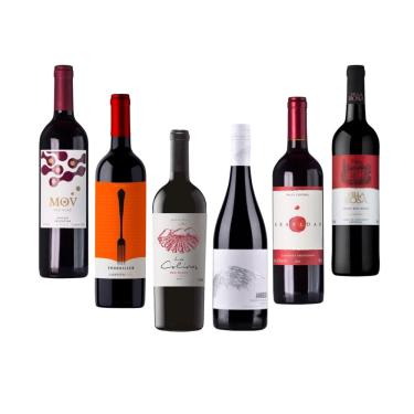 Imagem de Combo de Vinhos para Adega